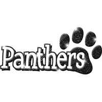 GLT17 BLACK GLITTER Thumbnail